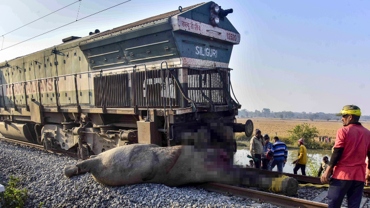 https://salarnews.in/public/uploads/images/newsimages/maannewsimage20122025_171146_Train derails.png